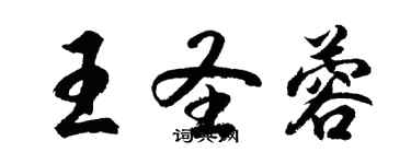胡问遂王圣蓉行书个性签名怎么写