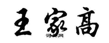 胡问遂王家高行书个性签名怎么写