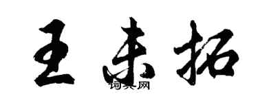 胡问遂王未拓行书个性签名怎么写