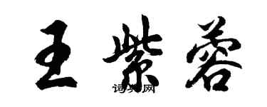 胡问遂王紫蓉行书个性签名怎么写
