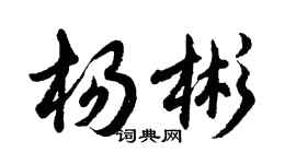 胡问遂杨彬行书个性签名怎么写