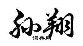 胡问遂孙翔行书个性签名怎么写