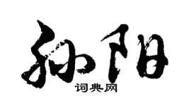 胡问遂孙阳行书个性签名怎么写