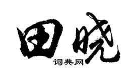 胡问遂田晓行书个性签名怎么写