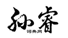 胡问遂孙睿行书个性签名怎么写