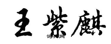 胡问遂王紫麒行书个性签名怎么写