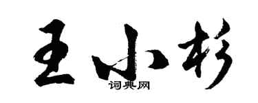 胡问遂王小杉行书个性签名怎么写