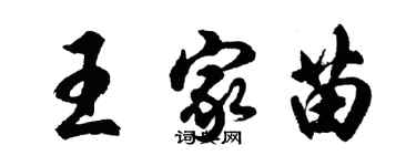胡问遂王家苗行书个性签名怎么写