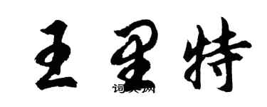 胡问遂王里特行书个性签名怎么写