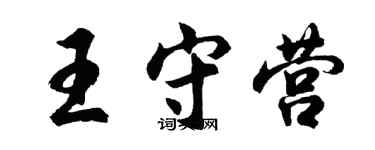 胡问遂王守营行书个性签名怎么写