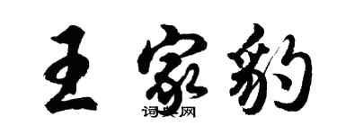 胡问遂王家豹行书个性签名怎么写