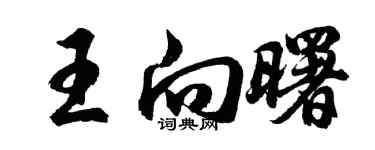 胡问遂王向曙行书个性签名怎么写