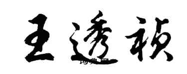 胡问遂王透祯行书个性签名怎么写