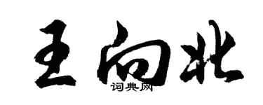 胡问遂王向北行书个性签名怎么写