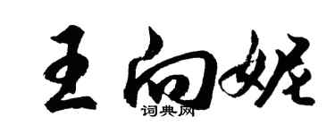 胡问遂王向妮行书个性签名怎么写