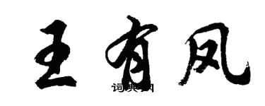 胡问遂王有凤行书个性签名怎么写