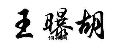 胡问遂王曝胡行书个性签名怎么写