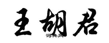 胡问遂王胡君行书个性签名怎么写