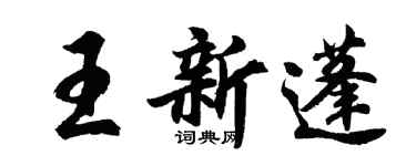 胡问遂王新蓬行书个性签名怎么写