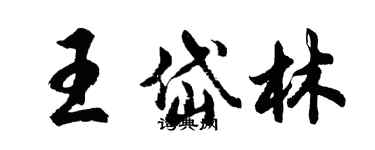 胡问遂王岱林行书个性签名怎么写