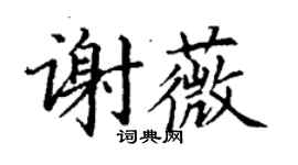丁谦谢薇楷书个性签名怎么写