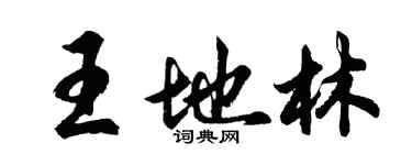 胡问遂王地林行书个性签名怎么写