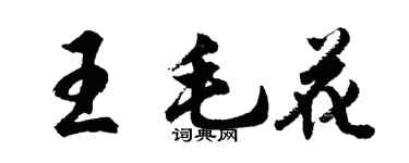 胡问遂王毛花行书个性签名怎么写