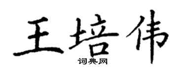 丁谦王培伟楷书个性签名怎么写