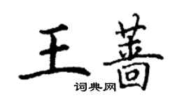 丁谦王蔷楷书个性签名怎么写