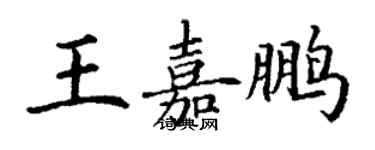 丁谦王嘉鹏楷书个性签名怎么写