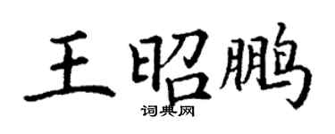 丁谦王昭鹏楷书个性签名怎么写