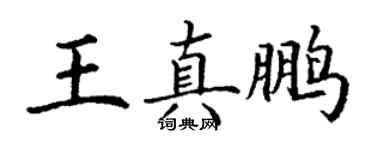 丁谦王真鹏楷书个性签名怎么写