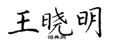丁谦王晓明楷书个性签名怎么写