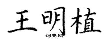 丁谦王明植楷书个性签名怎么写