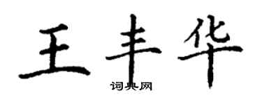 丁谦王丰华楷书个性签名怎么写