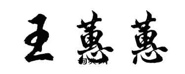 胡问遂王蕙蕙行书个性签名怎么写