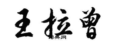 胡问遂王拉曾行书个性签名怎么写