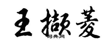 胡问遂王撷菱行书个性签名怎么写