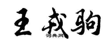 胡问遂王戎驹行书个性签名怎么写