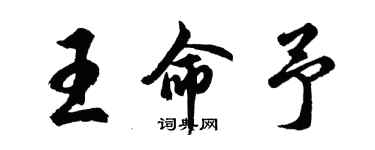 胡问遂王命予行书个性签名怎么写