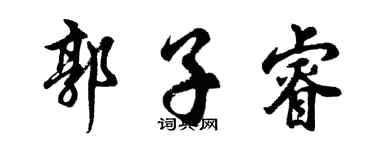 胡问遂郭子睿行书个性签名怎么写