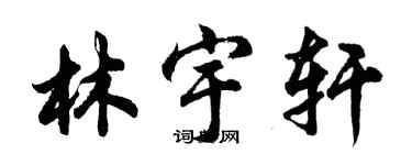 胡问遂林宇轩行书个性签名怎么写