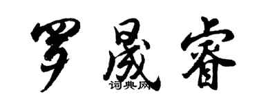 胡问遂罗晟睿行书个性签名怎么写