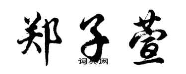 胡问遂郑子萱行书个性签名怎么写