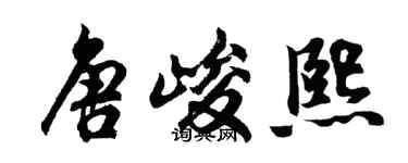 胡问遂唐峻熙行书个性签名怎么写