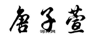 胡问遂唐子萱行书个性签名怎么写