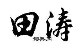 胡问遂田涛行书个性签名怎么写