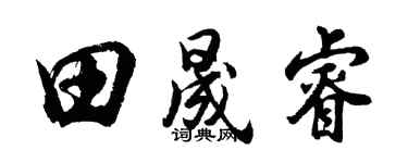 胡问遂田晟睿行书个性签名怎么写