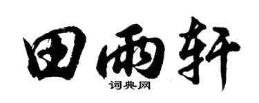 胡问遂田雨轩行书个性签名怎么写