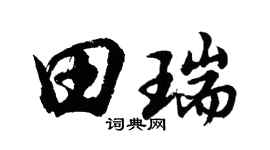 胡问遂田瑞行书个性签名怎么写